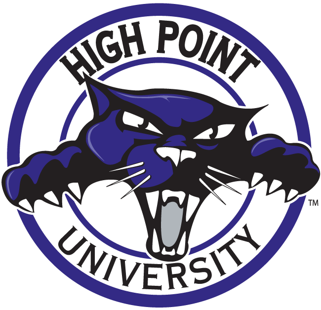 High Point Panthers 2004-2011 Alternate Logo v3 diy iron on heat transfer